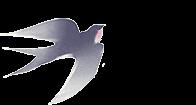 DƬ